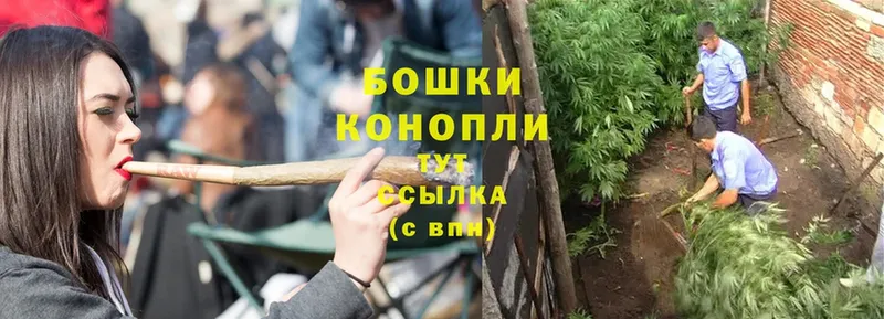 Бошки Шишки SATIVA & INDICA  Мытищи 